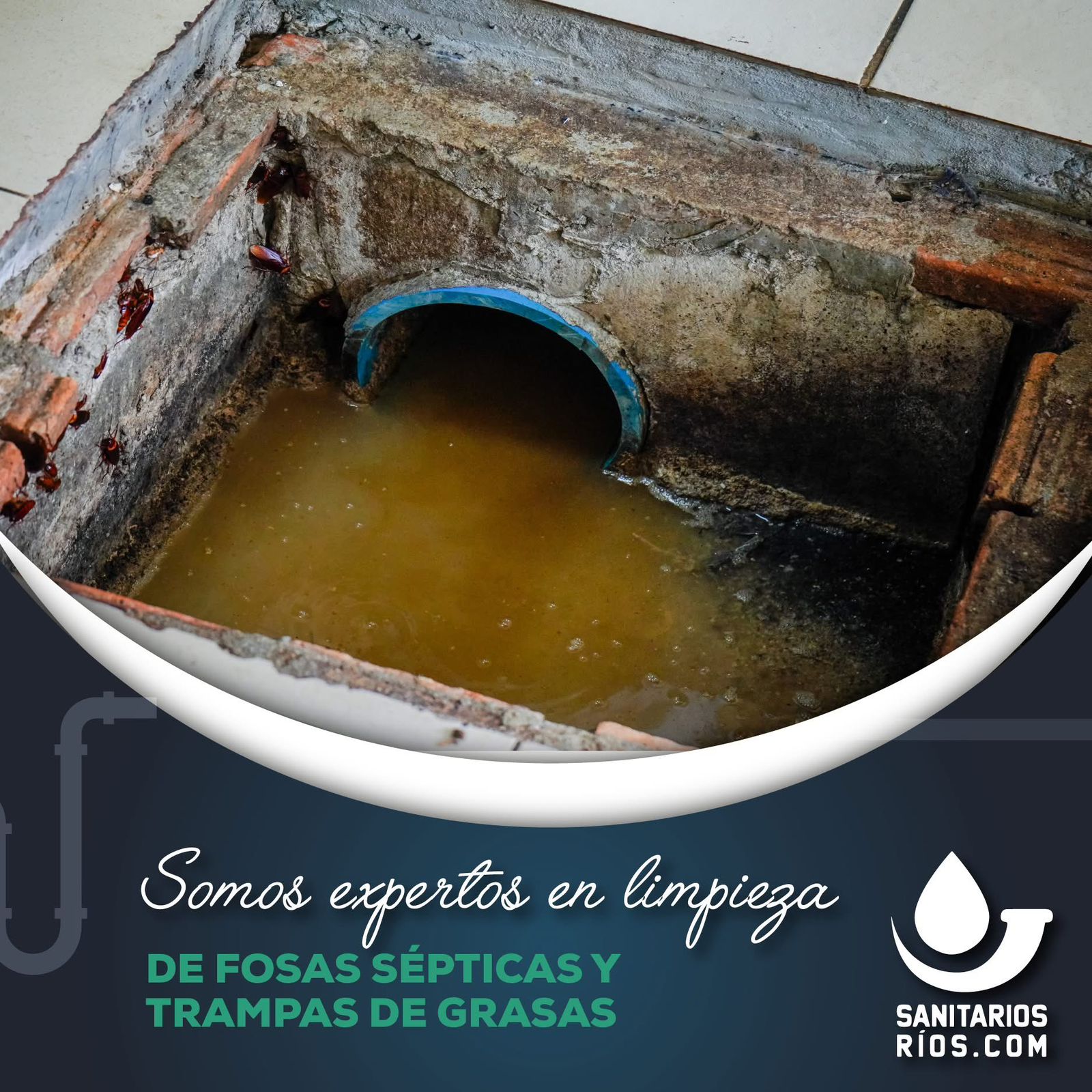 Servicio 4